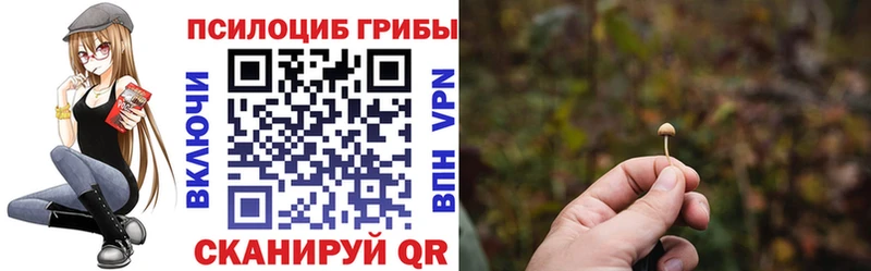 Псилоцибиновые грибы GOLDEN TEACHER  Строитель 